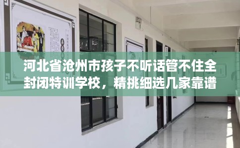 河北省沧州市孩子不听话管不住全封闭特训学校，精挑细选几家靠谱的学校！