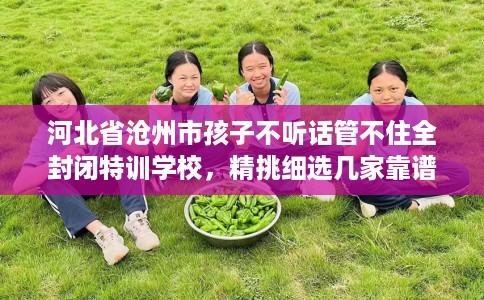 河北省沧州市孩子不听话管不住全封闭特训学校，精挑细选几家靠谱的学校！