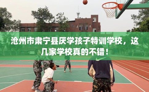 沧州市肃宁县厌学孩子特训学校，这几家学校真的不错！