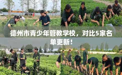 德州市青少年管教学校，对比5家名单更新！