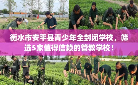 衡水市安平县青少年全封闭学校，筛选5家值得信赖的管教学校！