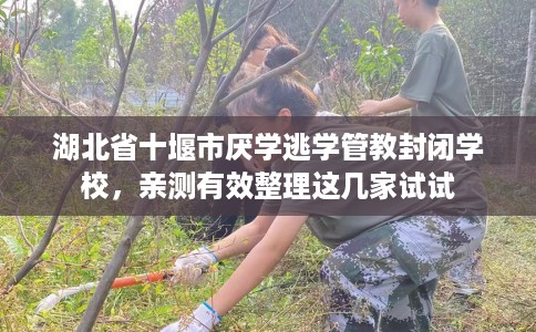 湖北省十堰市厌学逃学管教封闭学校，亲测有效整理这几家试试