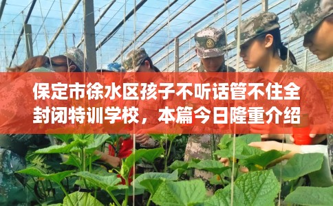 保定市徐水区孩子不听话管不住全封闭特训学校，本篇今日隆重介绍！