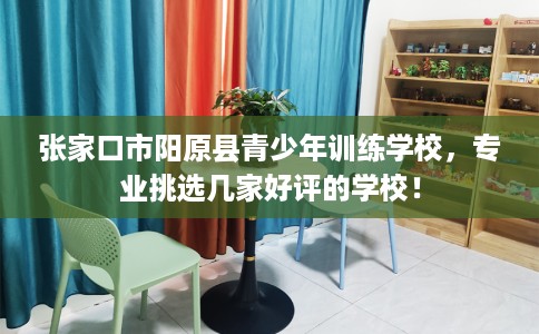 张家口市阳原县青少年训练学校，专业挑选几家好评的学校！