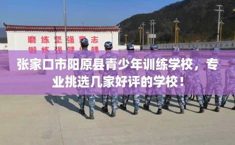 张家口市阳原县青少年训练学校，专业挑选几家好评的学校！