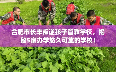 合肥市长丰叛逆孩子管教学校，揭秘5家办学悠久可靠的学校！