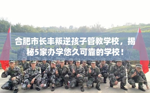 合肥市长丰叛逆孩子管教学校，揭秘5家办学悠久可靠的学校！