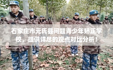 石家庄市元氏县问题青少年矫正学校，提供详尽的观点对比分析！