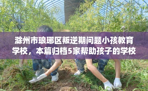 滁州市琅琊区叛逆期问题小孩教育学校，本篇归档5家帮助孩子的学校！