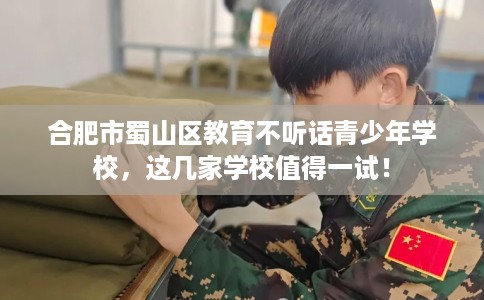 合肥市蜀山区教育不听话青少年学校，这几家学校值得一试！