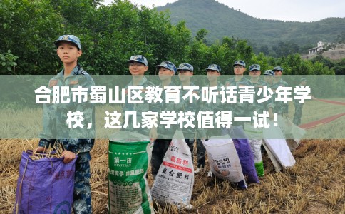 合肥市蜀山区教育不听话青少年学校，这几家学校值得一试！