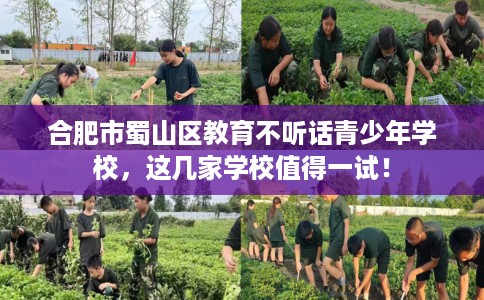 合肥市蜀山区教育不听话青少年学校，这几家学校值得一试！