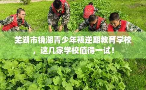 芜湖市镜湖青少年叛逆期教育学校，这几家学校值得一试！
