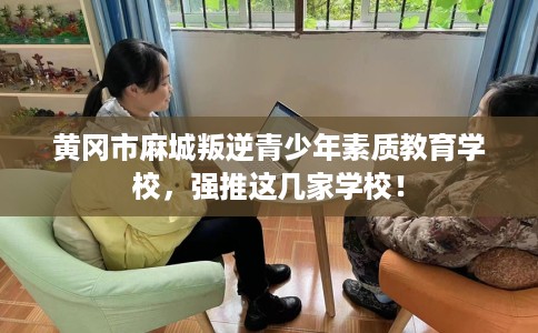 黄冈市麻城叛逆青少年素质教育学校，强推这几家学校！