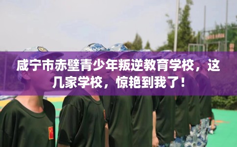 咸宁市赤壁青少年叛逆教育学校，这几家学校，惊艳到我了！