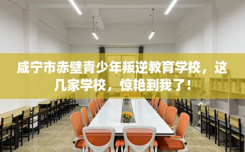 咸宁市赤壁青少年叛逆教育学校，这几家学校，惊艳到我了！