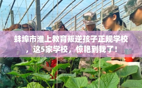 蚌埠市淮上教育叛逆孩子正规学校，这5家学校，惊艳到我了！