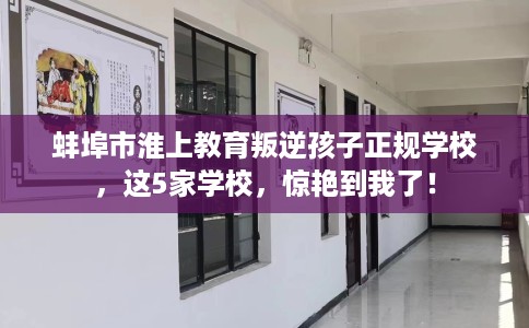 蚌埠市淮上教育叛逆孩子正规学校，这5家学校，惊艳到我了！