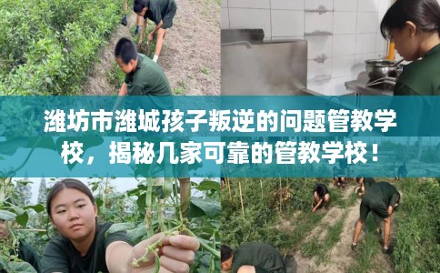 潍坊市潍城孩子叛逆的问题管教学校，揭秘几家可靠的管教学校！