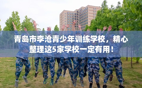青岛市李沧青少年训练学校，精心整理这5家学校一定有用！