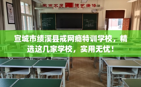 宣城市绩溪县戒网瘾特训学校，精选这几家学校，实用无忧！