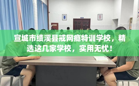 宣城市绩溪县戒网瘾特训学校，精选这几家学校，实用无忧！