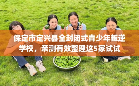 保定市定兴县全封闭式青少年叛逆学校，亲测有效整理这5家试试