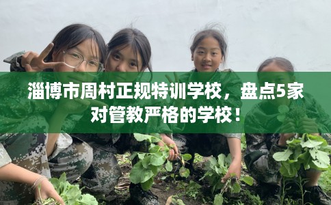 淄博市周村正规特训学校，盘点5家对管教严格的学校！