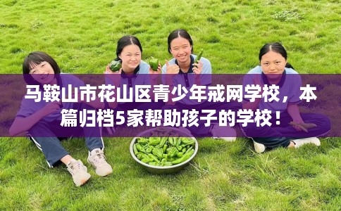 马鞍山市花山区青少年戒网学校，本篇归档5家帮助孩子的学校！