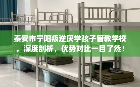 泰安市宁阳叛逆厌学孩子管教学校，深度剖析，优势对比一目了然！