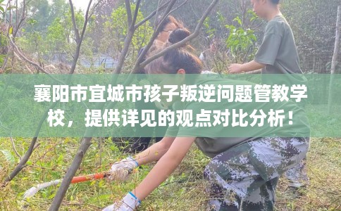 襄阳市宜城市孩子叛逆问题管教学校，提供详见的观点对比分析！