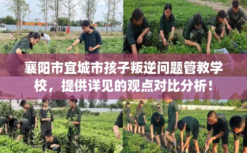 襄阳市宜城市孩子叛逆问题管教学校，提供详见的观点对比分析！