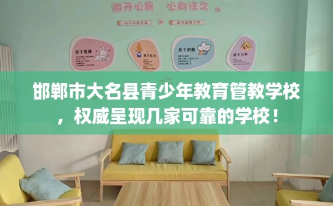 邯郸市大名县青少年教育管教学校，权威呈现几家可靠的学校！