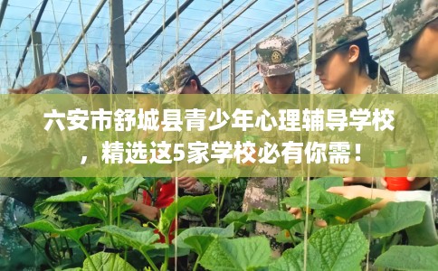 六安市舒城县青少年心理辅导学校，精选这5家学校必有你需！