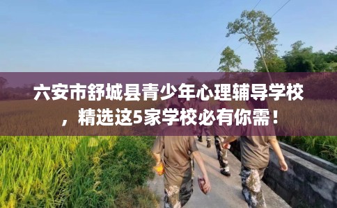 六安市舒城县青少年心理辅导学校，精选这5家学校必有你需！