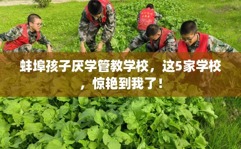 蚌埠孩子厌学管教学校，这5家学校，惊艳到我了！