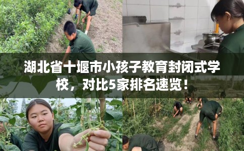 湖北省十堰市小孩子教育封闭式学校，对比5家排名速览！