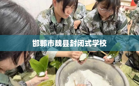 邯郸市魏县封闭式学校