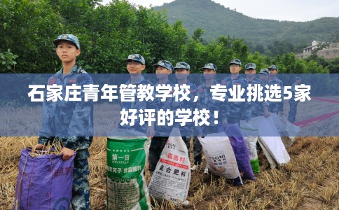 石家庄青年管教学校，专业挑选5家好评的学校！