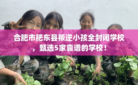 合肥市肥东县叛逆小孩全封闭学校，甄选5家靠谱的学校！