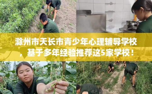 滁州市天长市青少年心理辅导学校,基于多年经验推荐这5家学校! 滁州市天长市青少年心理辅导学校,基于多年经验推荐这5家学校!