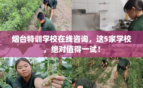烟台特训学校在线咨询，这5家学校，绝对值得一试！