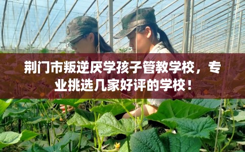 荆门市叛逆厌学孩子管教学校，专业挑选几家好评的学校！