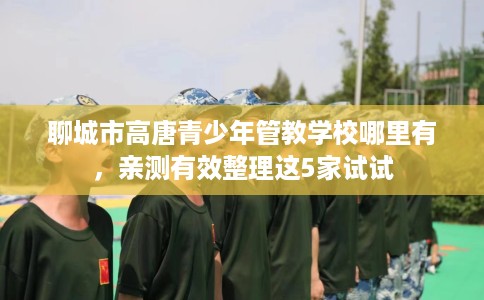 聊城市高唐青少年管教学校哪里有，亲测有效整理这5家试试