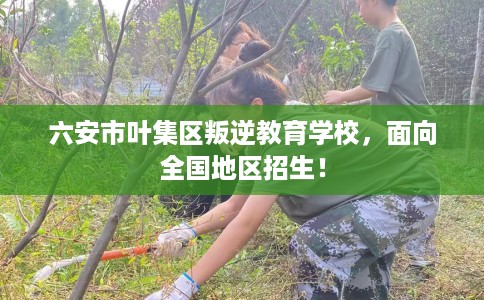 六安市叶集区叛逆教育学校，面向全国地区招生！