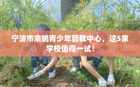 宁波市余姚青少年管教中心，这5家学校值得一试！