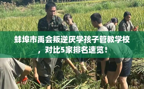 蚌埠市禹会叛逆厌学孩子管教学校，对比5家排名速览！