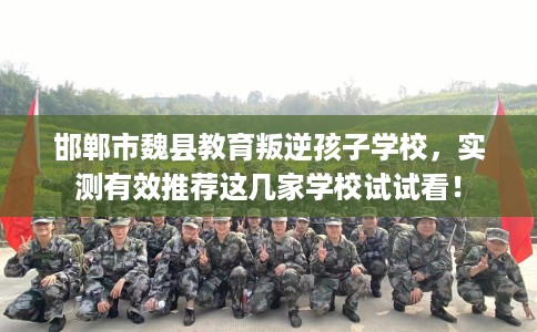 邯郸市魏县教育叛逆孩子学校，实测有效推荐这几家学校试试看！