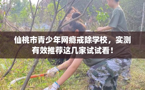仙桃市青少年网瘾戒除学校，实测有效推荐这几家试试看！