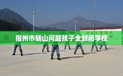 宿州市砀山问题孩子全封闭学校